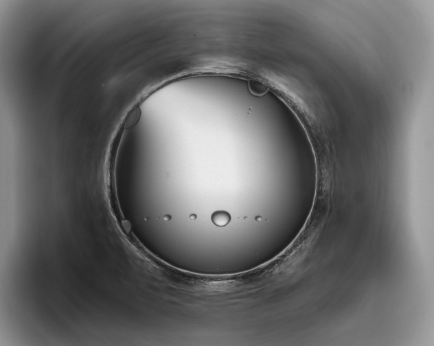 X0000096211471200801181420