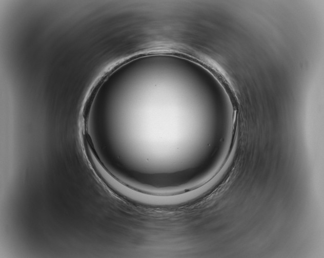 X0000096211472200801181420
