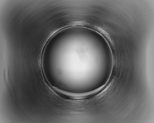 X0000096211473200801181420