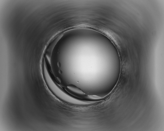 X0000096211476200801181420