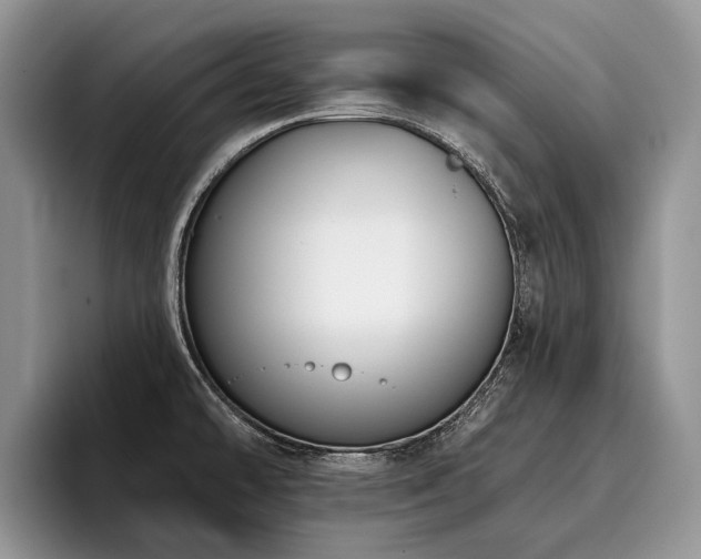 X0000096211478200801181420
