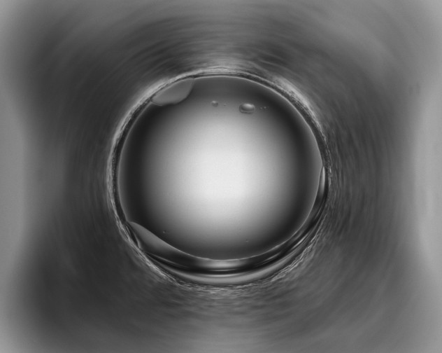 X0000096211480200801181420