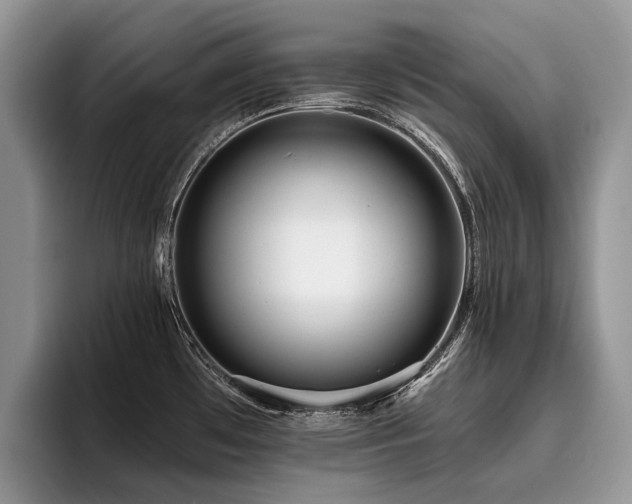 X0000096211481200801181420