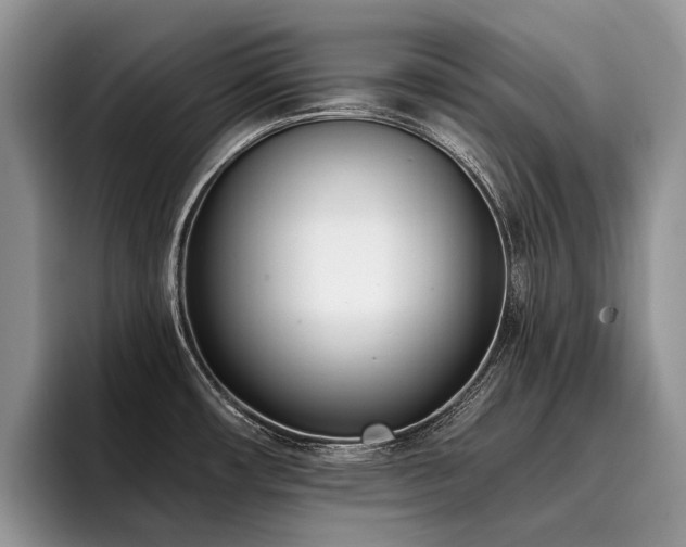 X0000096211482200801181420