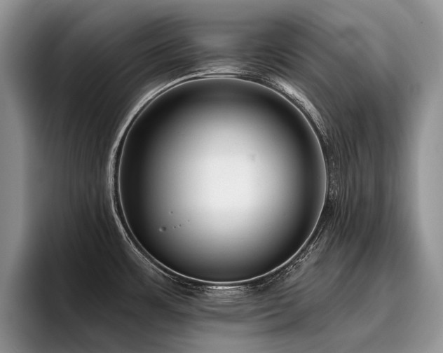 X0000096211483200801181420