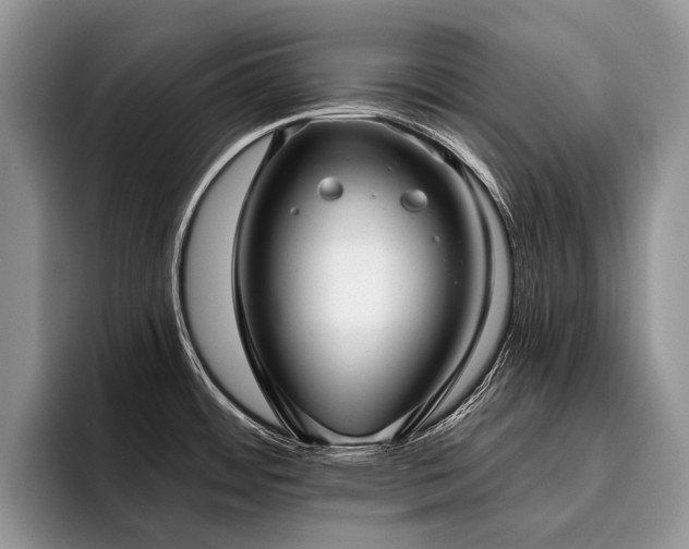 X0000096211484200801181420