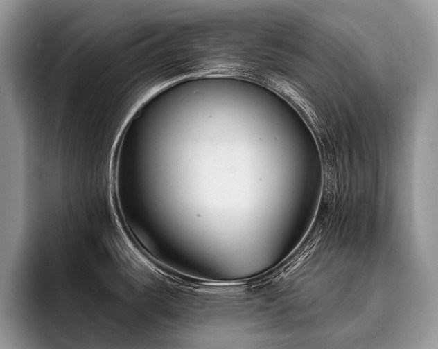 X0000096211487200801181420