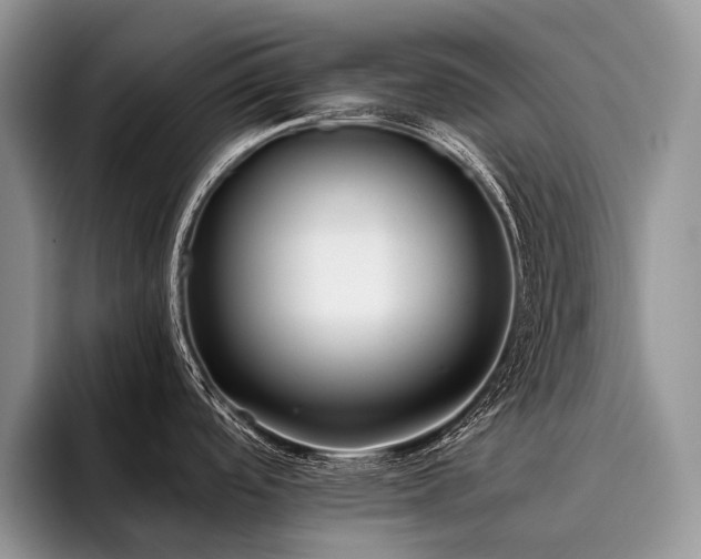 X0000096211488200801181420