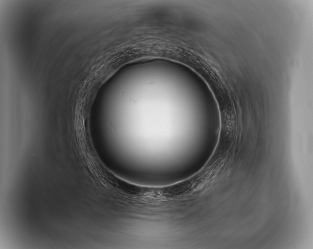 X0000096211489200801181420