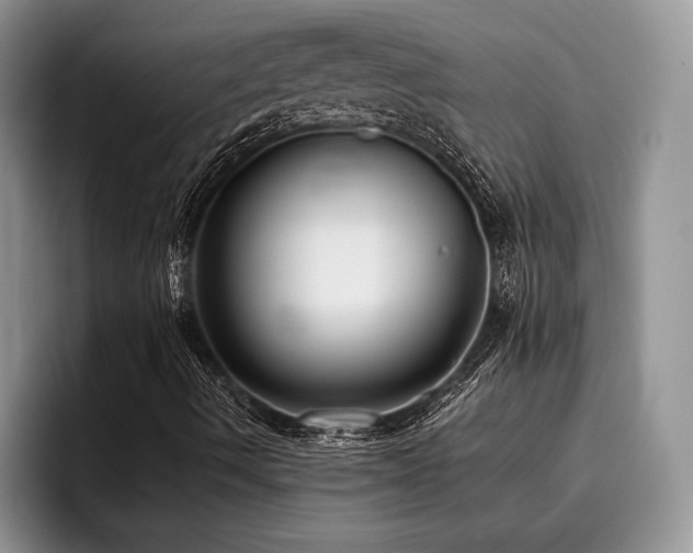 X0000096211490200801181420
