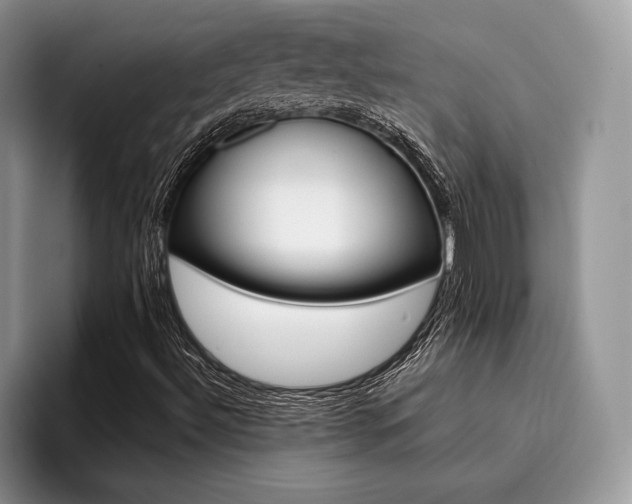 X0000096211492200801181420