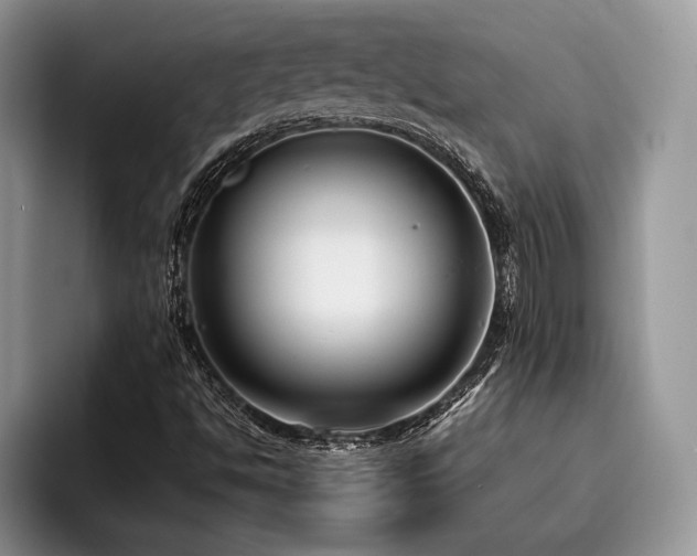 X0000096211494200801181420
