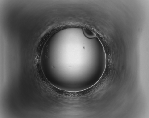 X0000096211495200801181420