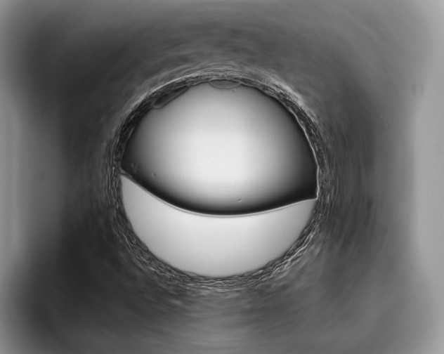 X0000096211496200801181420