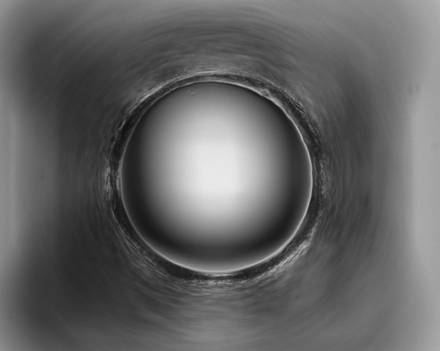 X0000096211497200801181420