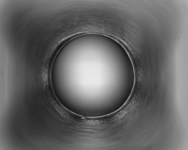 X0000096211499200801181420