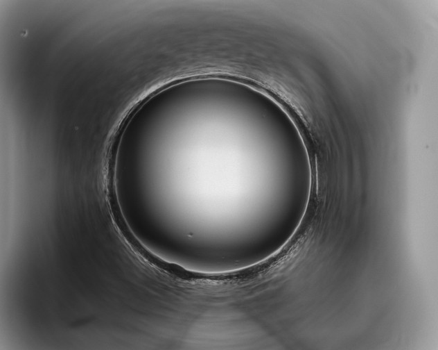 X0000096211500200801181420