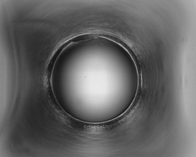 X0000096211501200801181420