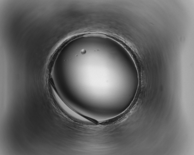 X0000096211502200801181420