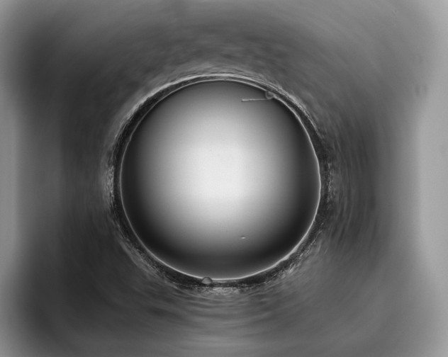 X0000096211503200801181420