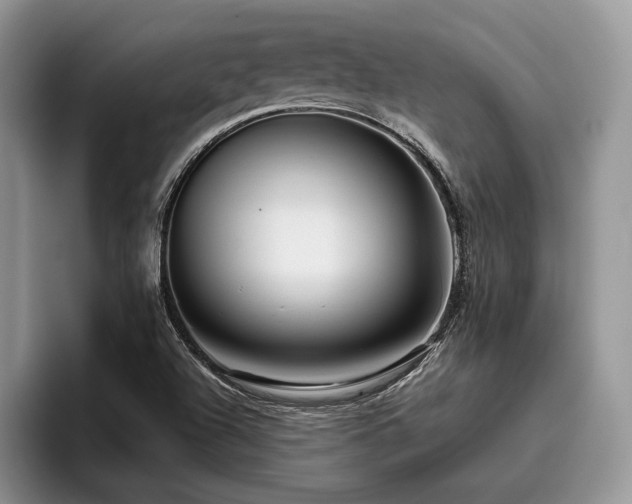 X0000096211504200801181420