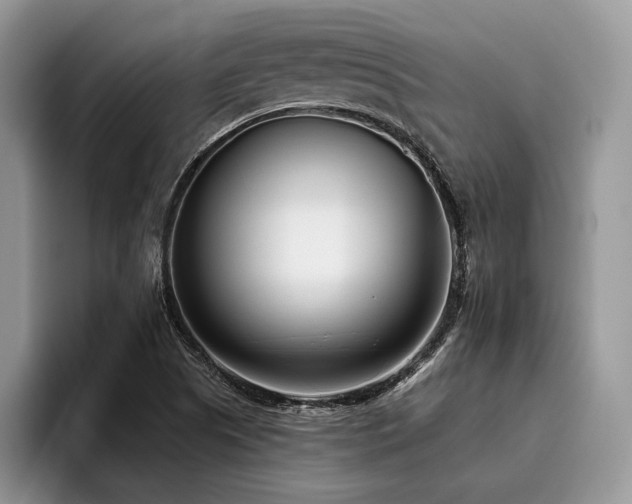 X0000096211505200801181420