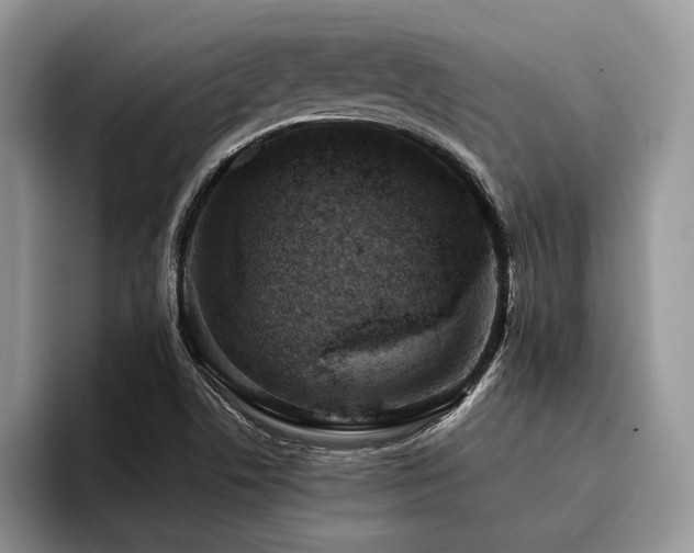 X0000096211506200801181420