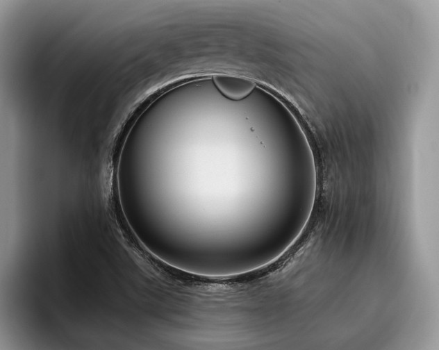 X0000096211507200801181420