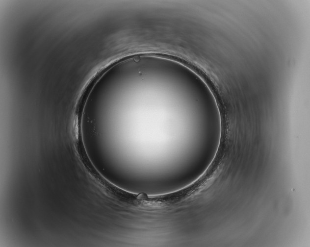 X0000096211509200801181420