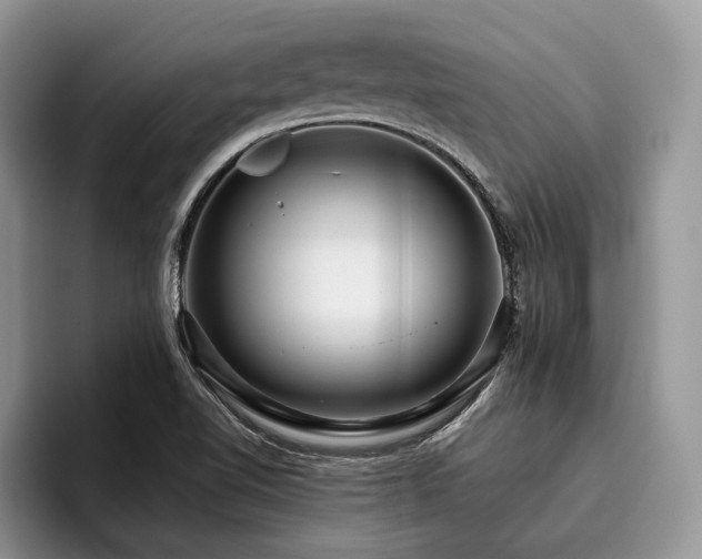 X0000096211510200801181420