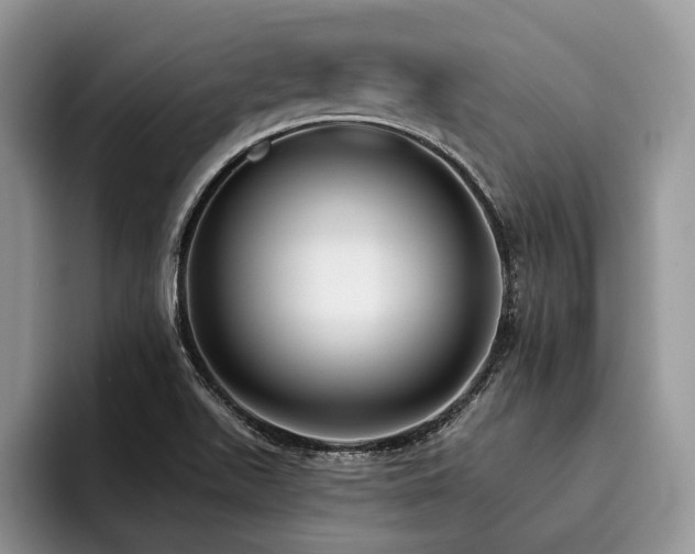 X0000096211511200801181420
