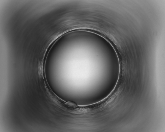 X0000096211513200801181420