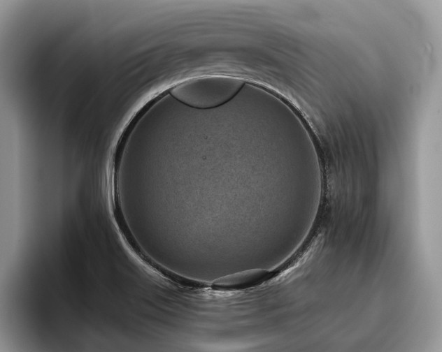 X0000096211515200801181420