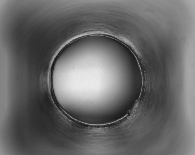 X0000096211516200801181420