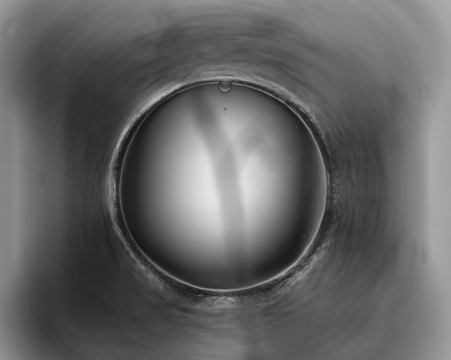 X0000096211517200801181420