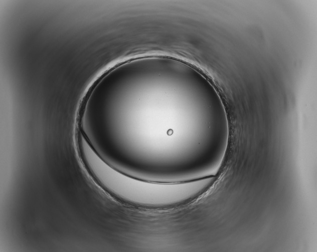 X0000096211518200801181420