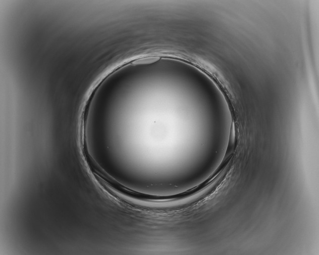 X0000096211520200801181420