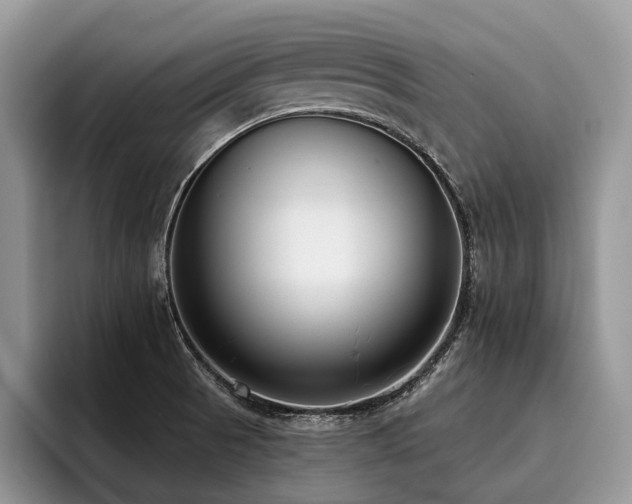 X0000096211521200801181420
