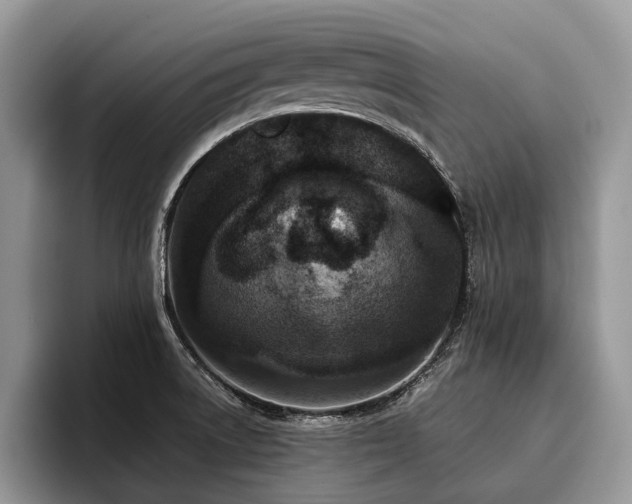 X0000096211522200801181420