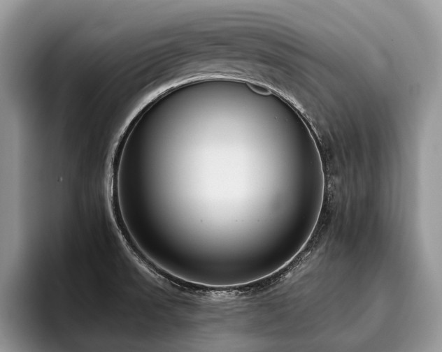 X0000096211523200801181420