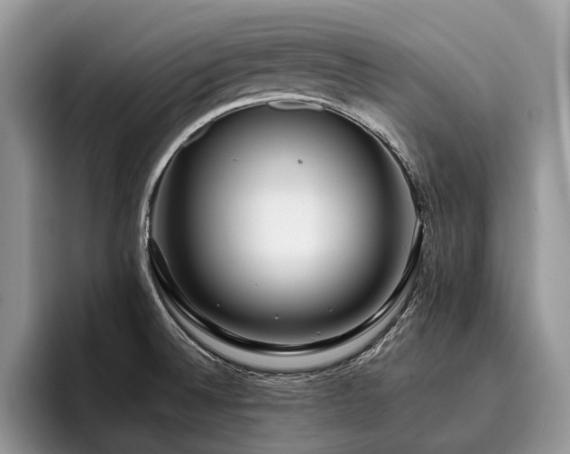 X0000096211524200801181420