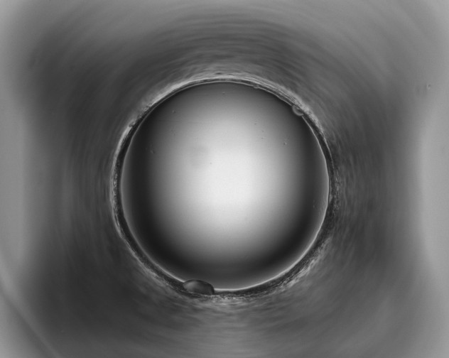 X0000096211525200801181420