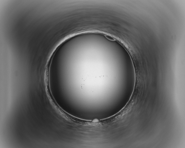 X0000096211526200801181420