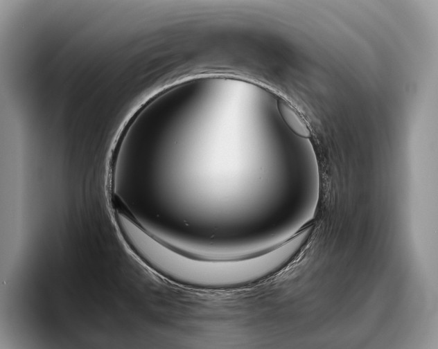 X0000096211527200801181420