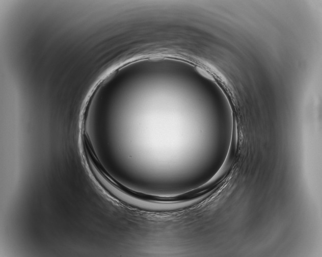 X0000096211528200801181420