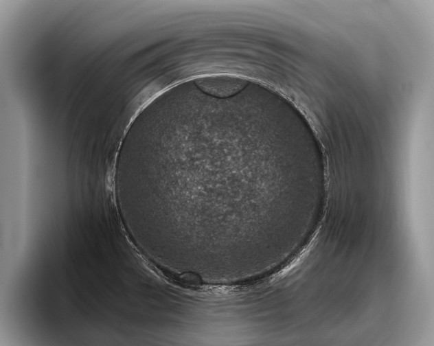 X0000096211529200801181420