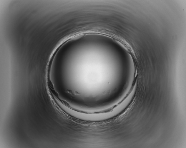 X0000096211530200801181420