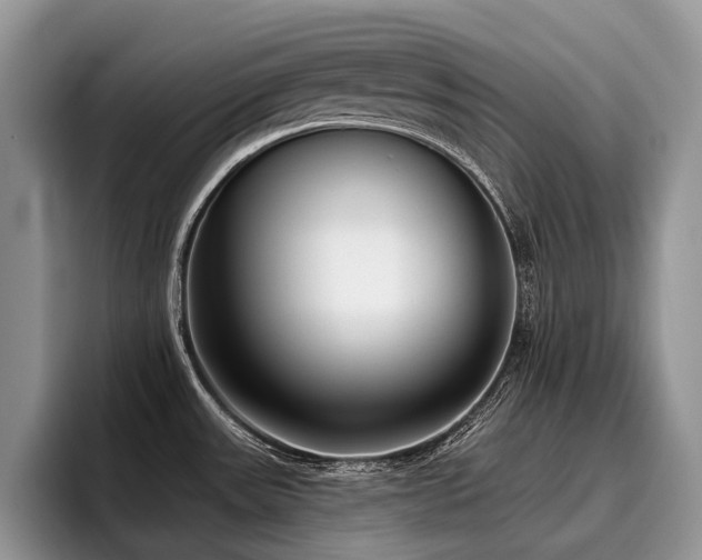 X0000096211531200801181420