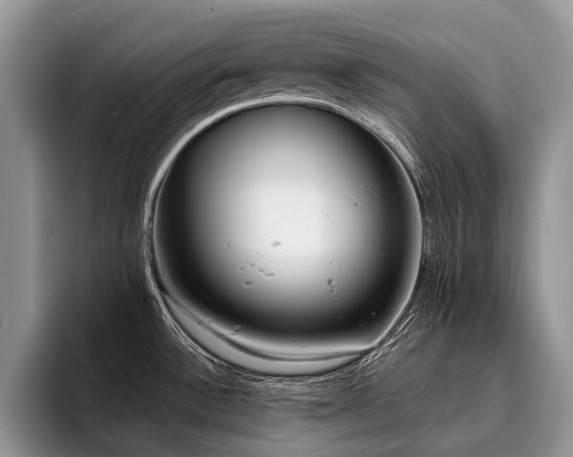 X0000096211532200801181420