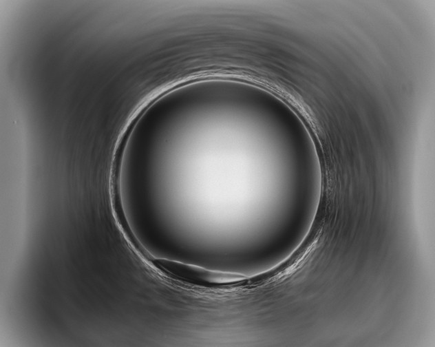 X0000096211533200801181420